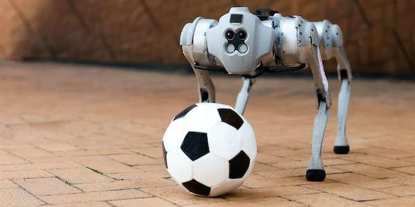 DribbleBot From MIT Designed to Play Soccer on Varied Terrains