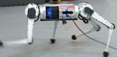 MIT Researchers Develop Learning Model to Teach Legged Robot to Run Faster 